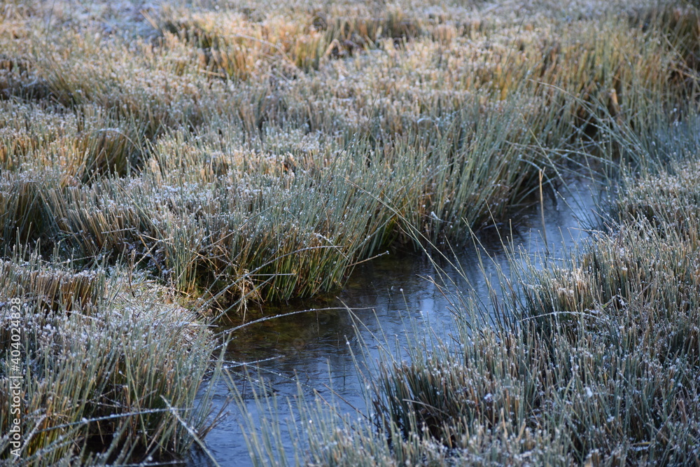 thin Ice in a small Trickle thin Ice in a small Trickle