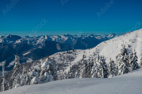 Ski mountaineering in the Carnic Alps  Friuli-Venezia Giulia  Italy