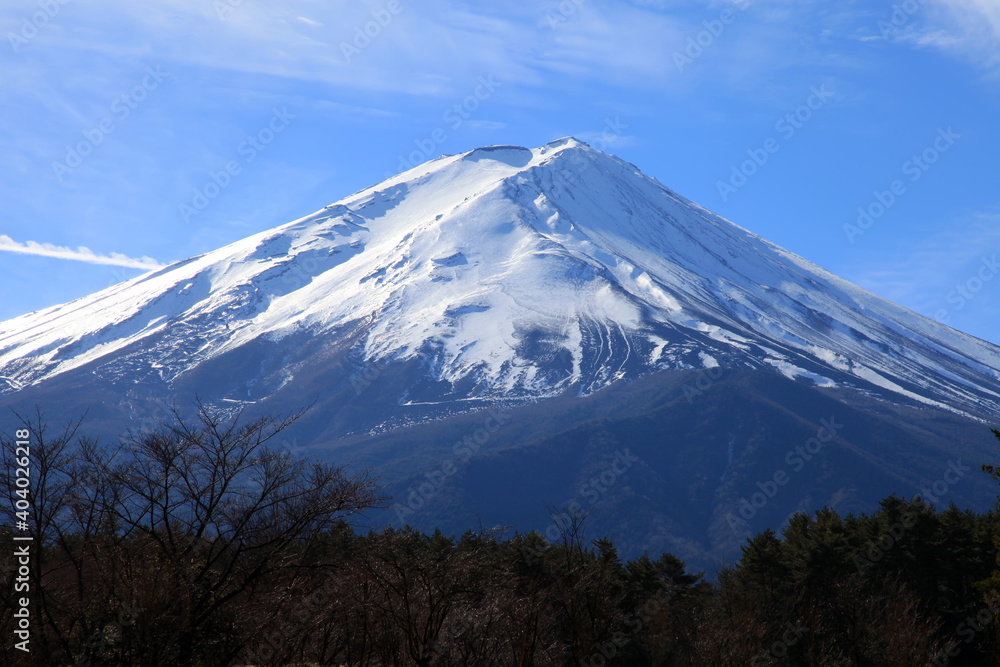 The peak of Mount Fuji as viewed from the pine forests of Gotemba in Shizuoka Prefecture, Japan. The peak of Mount Fuji as viewed from the pine forests of Gotemba in Shizuoka Prefecture, Japan.