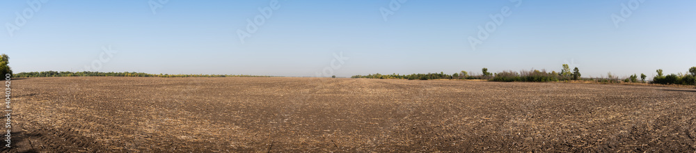 Panorama. Brown empty field after harvest on blue sky background Panorama. Brown empty field after harvest on blue sky background