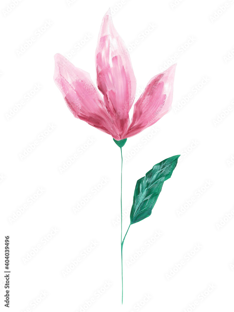 Hand drawn acrylic pink flower clip art isolated on white background. Botanical illustration with evident brush strokes. Beautiful floral painting for cards, invitations, wedding, decorations.