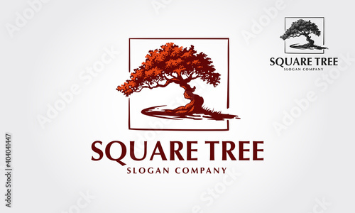 Square Tree Vector Logo Template. This illustration of a tree where are inside a square frame. This logo is suitable for every kind of business.