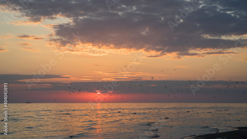 Sunrise over baltic sea with tiny lighthouse and a flock of herring gulls in the air