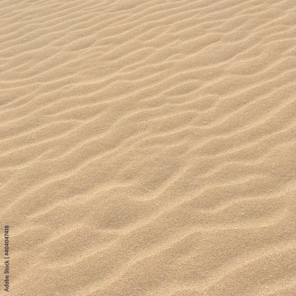 pattern and texture in sand of a dutch beach pattern and texture in sand of a dutch beach