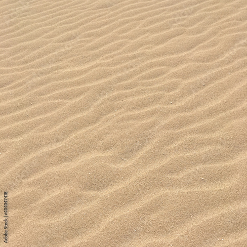 pattern and texture in sand of a dutch beach