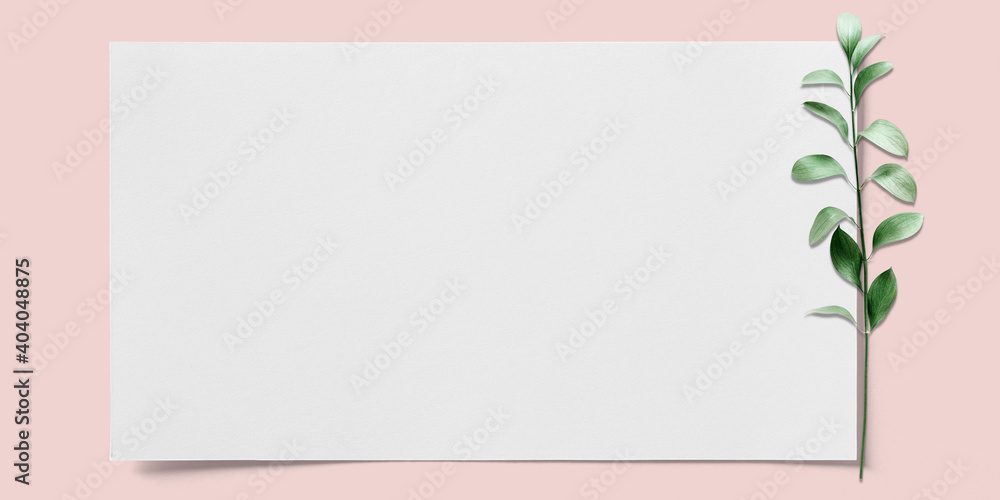 white paper with green leaf on pink background with copy space white paper with green leaf on pink background with copy space