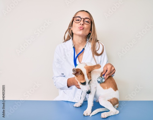 Fototapeta Naklejka Na Ścianę i Meble -  Young beautiful blonde veterinarian woman checking dog health using stethoscope looking at the camera blowing a kiss being lovely and sexy. love expression.