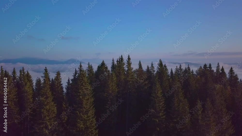 Flying over forest in the Carpathians mountains. Beautiful clouds and landscape Aerial view. 4K Flying over forest in the Carpathians mountains. Beautiful clouds and landscape Aerial view. 4K
