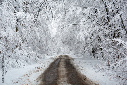 Forest road in idyllic winter landscape.
