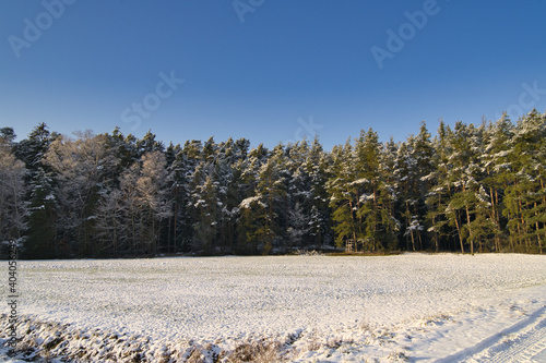 Ländliche Winterlandschaft mit schneebedeckten Bäumen bei strahlendem Sonnenschein