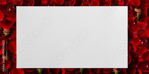 white paper on rose backgro...