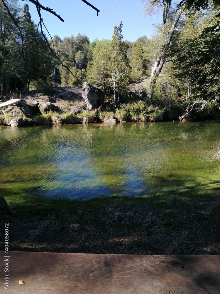 Obraz premium river in the forest