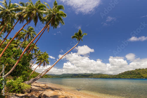 Beautiful beach with palm trees on Malekula island, Vanuatu