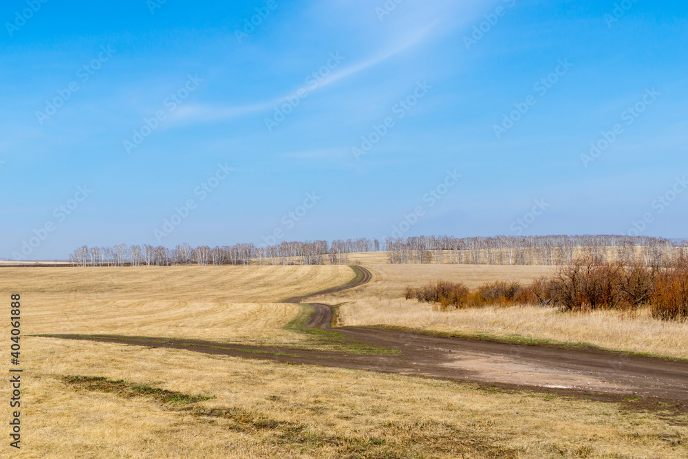 A winding road through spring fields