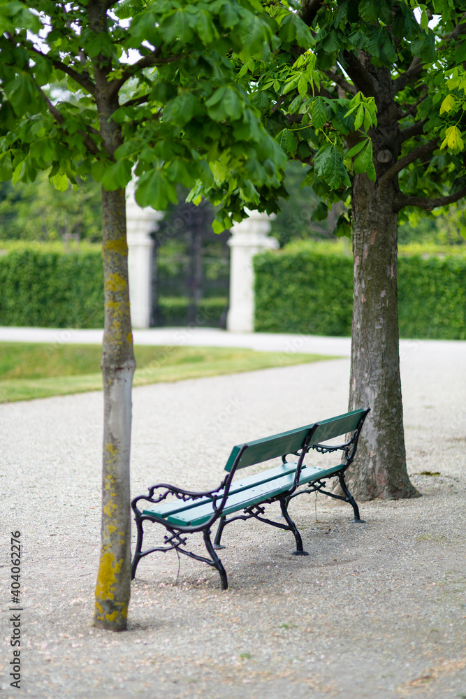 Bench In Belvedere Palace Park, Austria Bench In Belvedere Palace Park, Austria