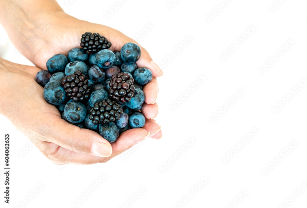 Female palms with fresh blackberries and blueberries on white background with copy space Female palms with fresh blackberries and blueberries on white background with copy space
