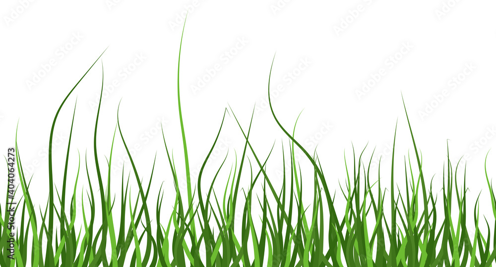 Obraz premium Multicolor green grass. Seamless pattern from left to right. Horizontal on white background. Vector Illustration. EPS10