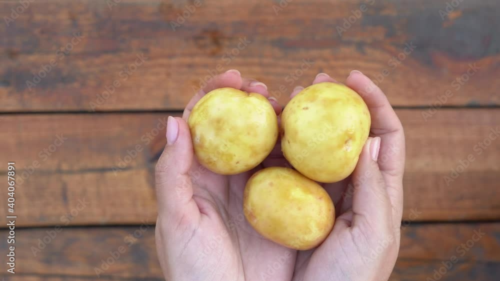 Closeup top view 4k video of two female hands holding three fresh peeled potatoes in cupped palms isolated on blurry brown wooden table background Closeup top view 4k video of two female hands holding three fresh peeled potatoes in cupped palms isolated on blurry brown wooden table background