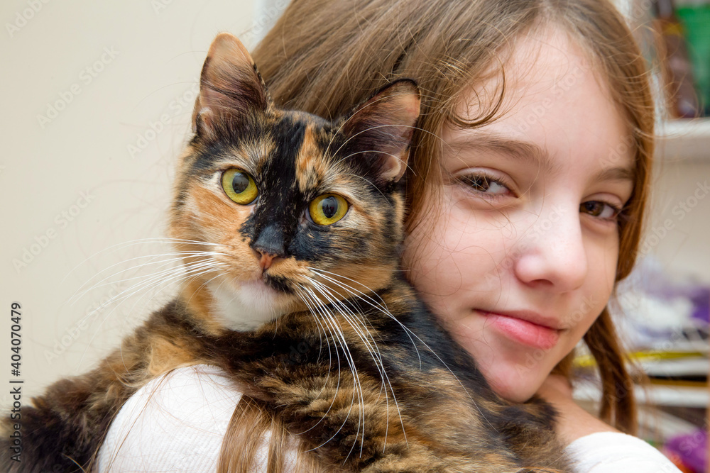 well-groomed outbred tricolor young kitten in the arms of a smiling girl.