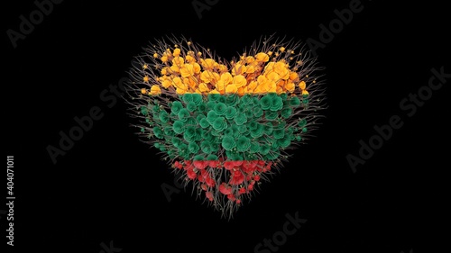 Lithuania National Day. Independence day. February 16. Heart shape made out of flowers on black background. 3D rendering.