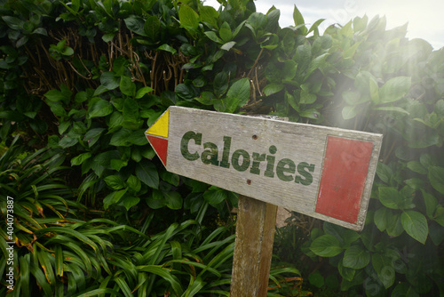 vintage old wooden signboard with text calories near the green plants.