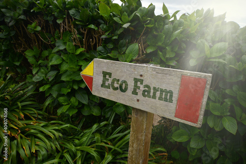 vintage old wooden signboard with text eco farm near the green plants.
