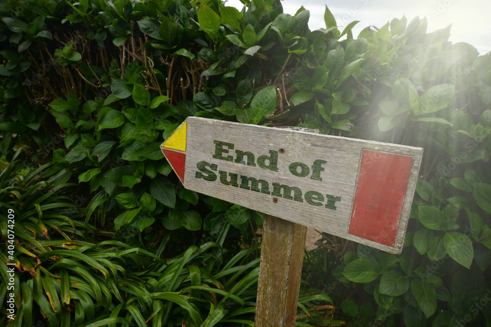 vintage old wooden signboard with text end of summer near the green plants.