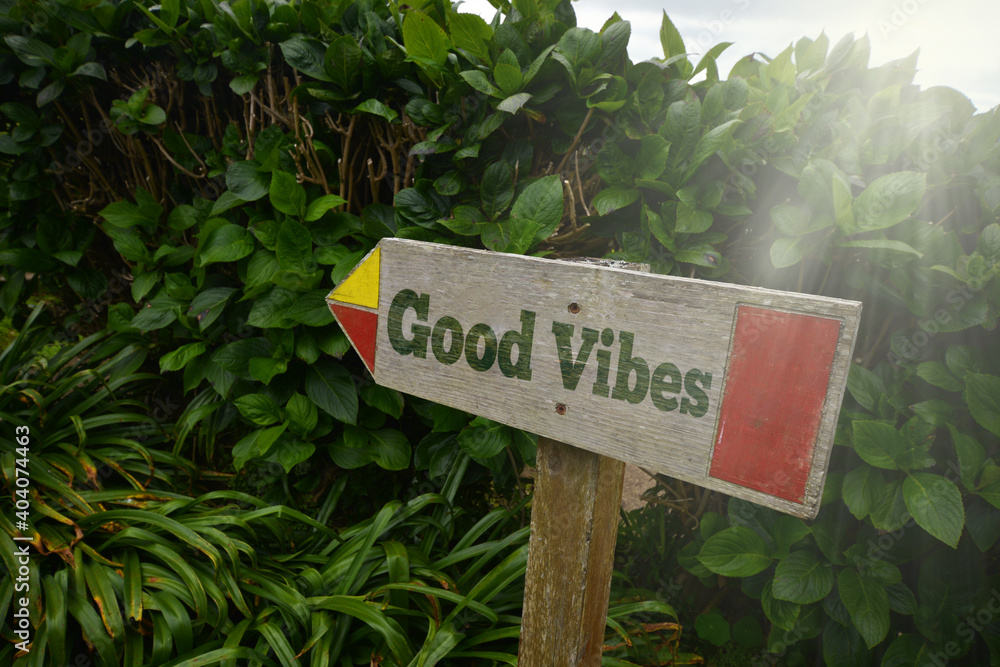 vintage old wooden signboard with text good vibes near the green plants.