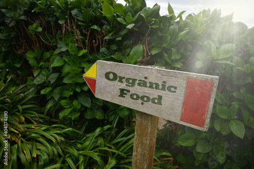 vintage old wooden signboard with text organic food near the green plants.