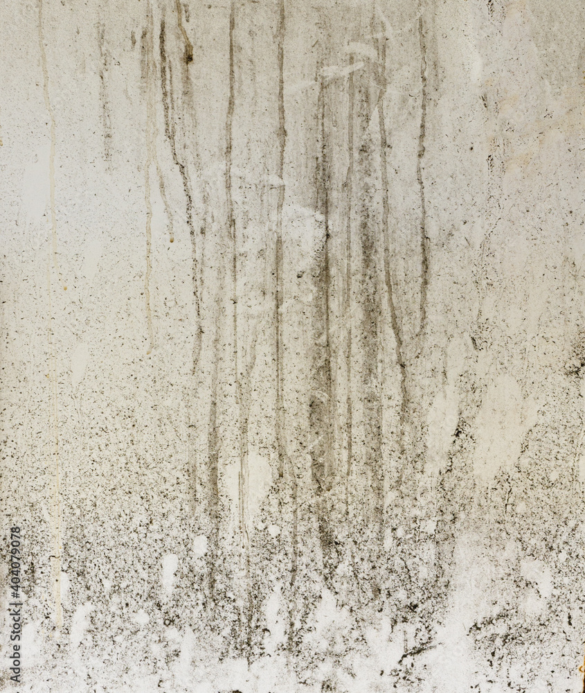 Fototapeta premium wall texture