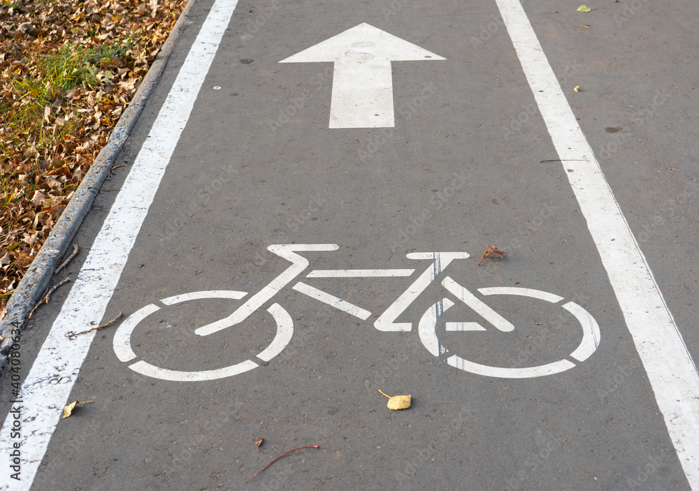 Fototapeta premium Bicycle path sign in the Park on the asphalt. Autumn