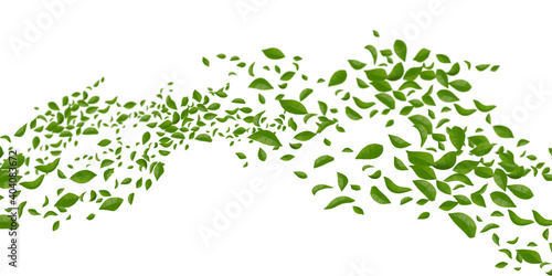 Green flying or falling off leaves.  abstract foliage background  motion blur image