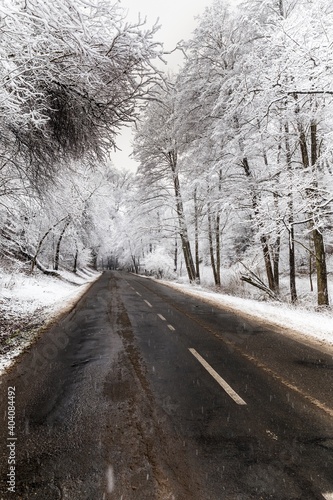Winter road and trees with snow in the Czech Republic - Europe. Freshly fallen snow and plowed road in in ountryside.  Slippery road. © martinfredy