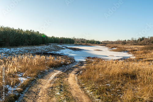 Part of a sandy forest road covered with snow. Dry grass with tall stalks thaws in the sun. Clear day in early spring