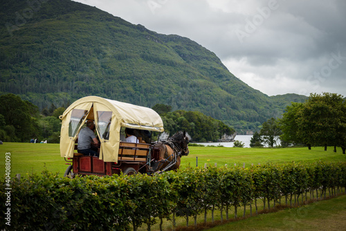 Photos Jaunting car in Killarney National Park, near the town of Killarney, County Kerr