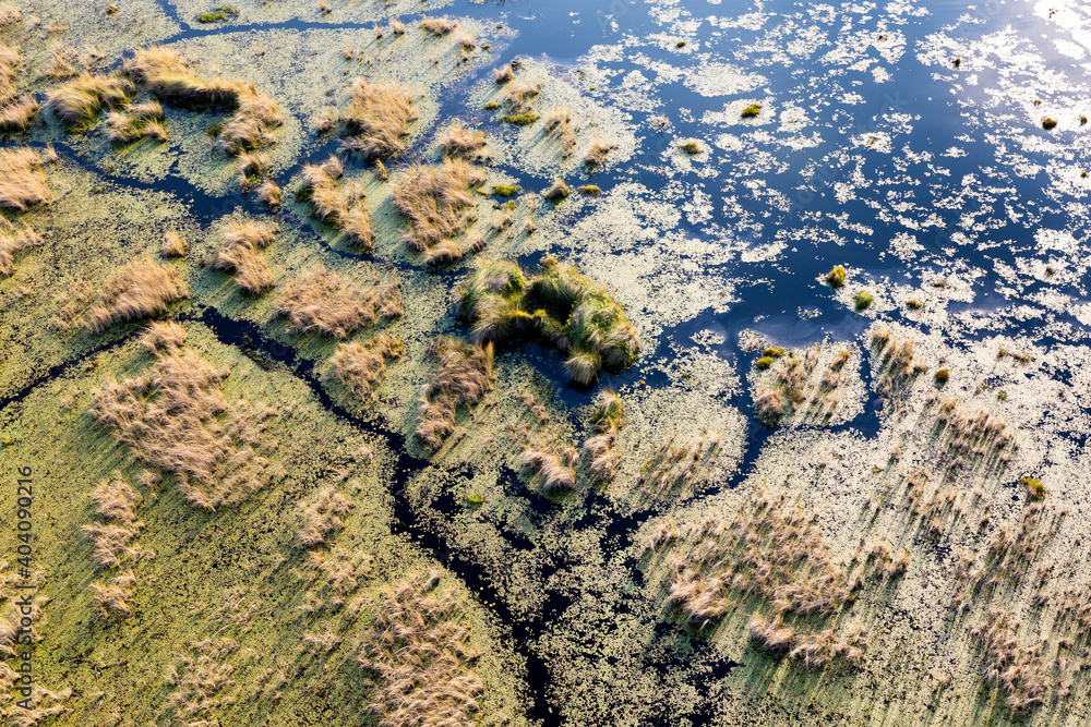 Aerial view to wild nature of Delta Okavango in Botswana.