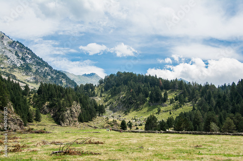 Paisaje alpino con ríos y montañas en el valle de Benasque. Pirineo Aragonés