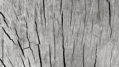 Gray or Grey cracked wooden background or wall. Abstract wood wallpaper and Art line or damaged concept. 