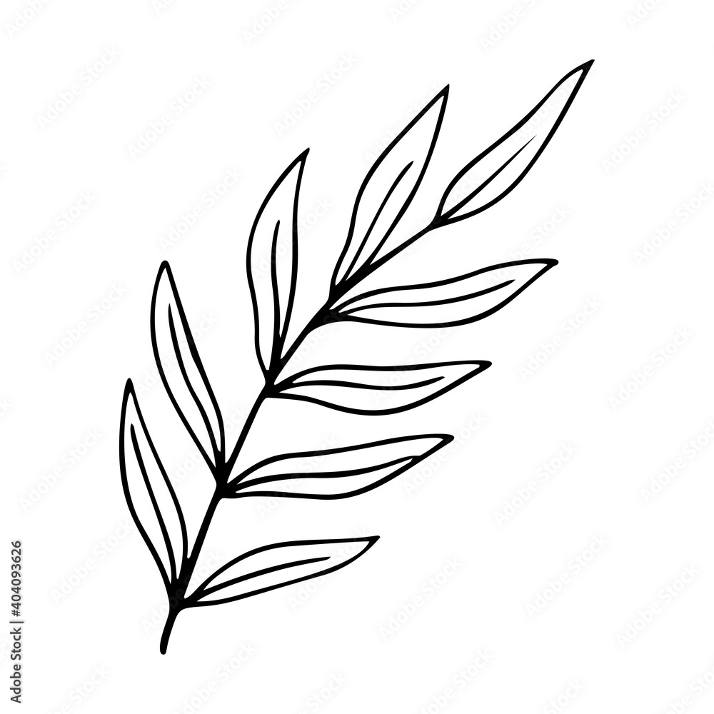 palm leaf stylized vector illustration. palm leaf stylized vector illustration.