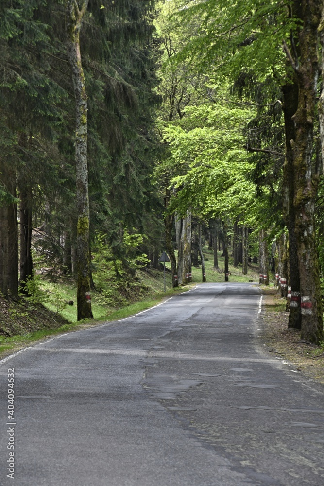 droga stu zakrętów Kudowa Zdrój 