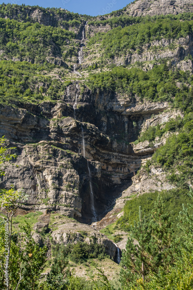 Bosques alpinos de montaña en el valle de la Pineta. Pirineo Aragonés. Bielsa 