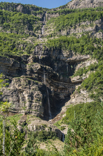 Bosques alpinos de montaña en el valle de la Pineta. Pirineo Aragonés. Bielsa 