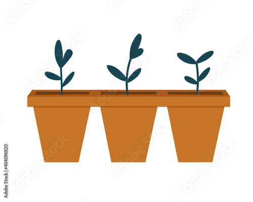 Vector illustration of seedling pots with seedling isolated on a white background. Concept of home flower, springtime gardening, floriculture. Hand-drawn set in flat style.