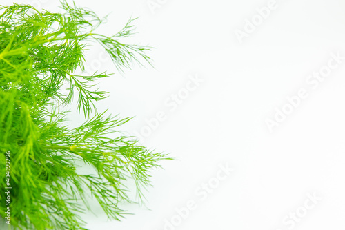 Fresh dill isolated on white