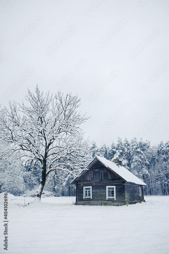 Nice old village house in the middle of beautiful winter with lots of white snow and trees. Christmas magic, winter tale with white fields.