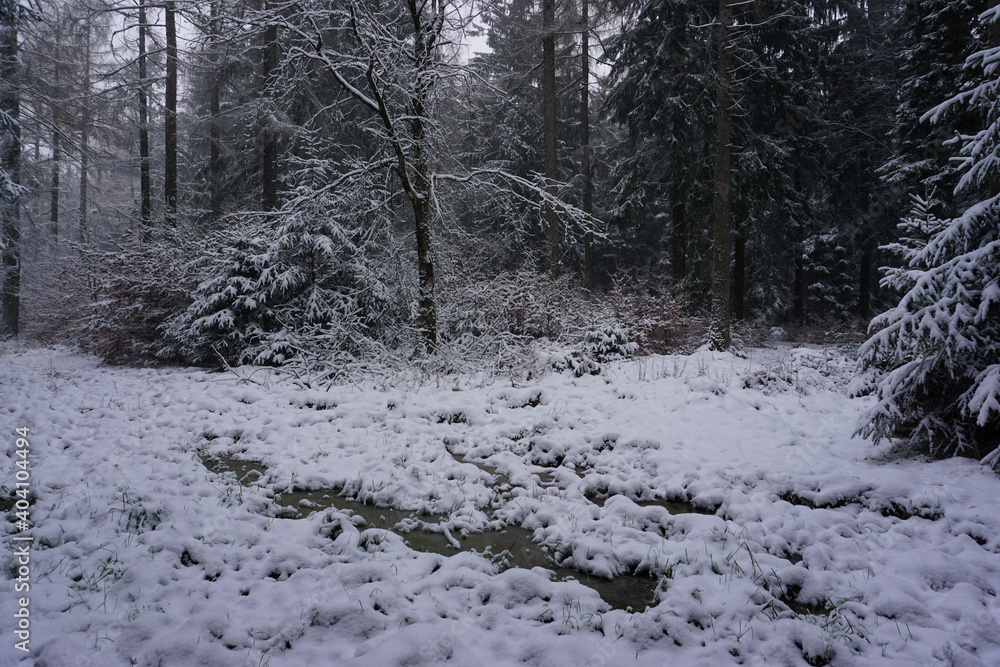 Winterlandschaft im verschneiten Solling im Weserbergland Winterlandschaft im verschneiten Solling im Weserbergland