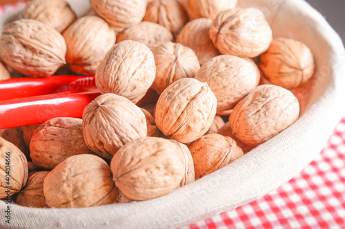 Hazelnuts in natural light, autumn seasonal vibes