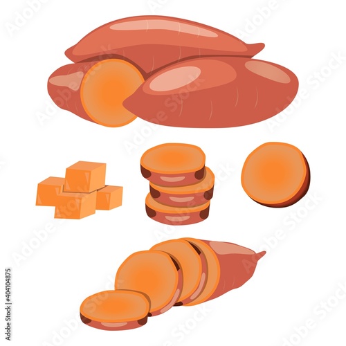 Sweet potatoes set. Sweet potato whole. Half of the sweet potato. Chopped sweet potato. Slices sweet potato. Healthy, diet, vegetarian food. Vector illustrations isolated on white background.