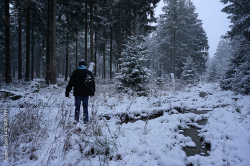 Wanderung bei Schneefall im Solling in Niedersachsen