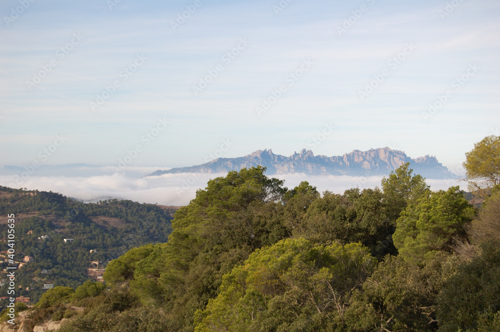 Panorama of the forests and mountains of La Mola, in Catalonia, in the province of Barcelona (Spain). Next to Montserrat. View of Montserrat. Catalonia, El Vallès
